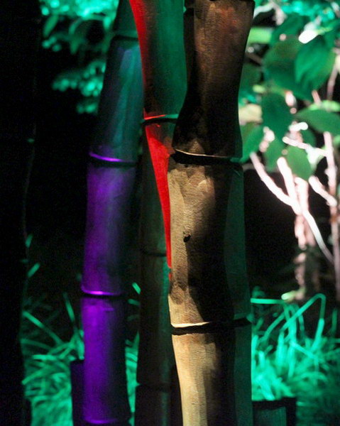Ilumina_2014   052.jpg